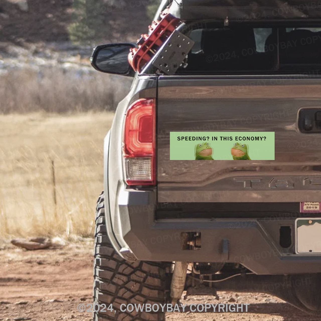 Speeding In This Economy Bumper Magnet