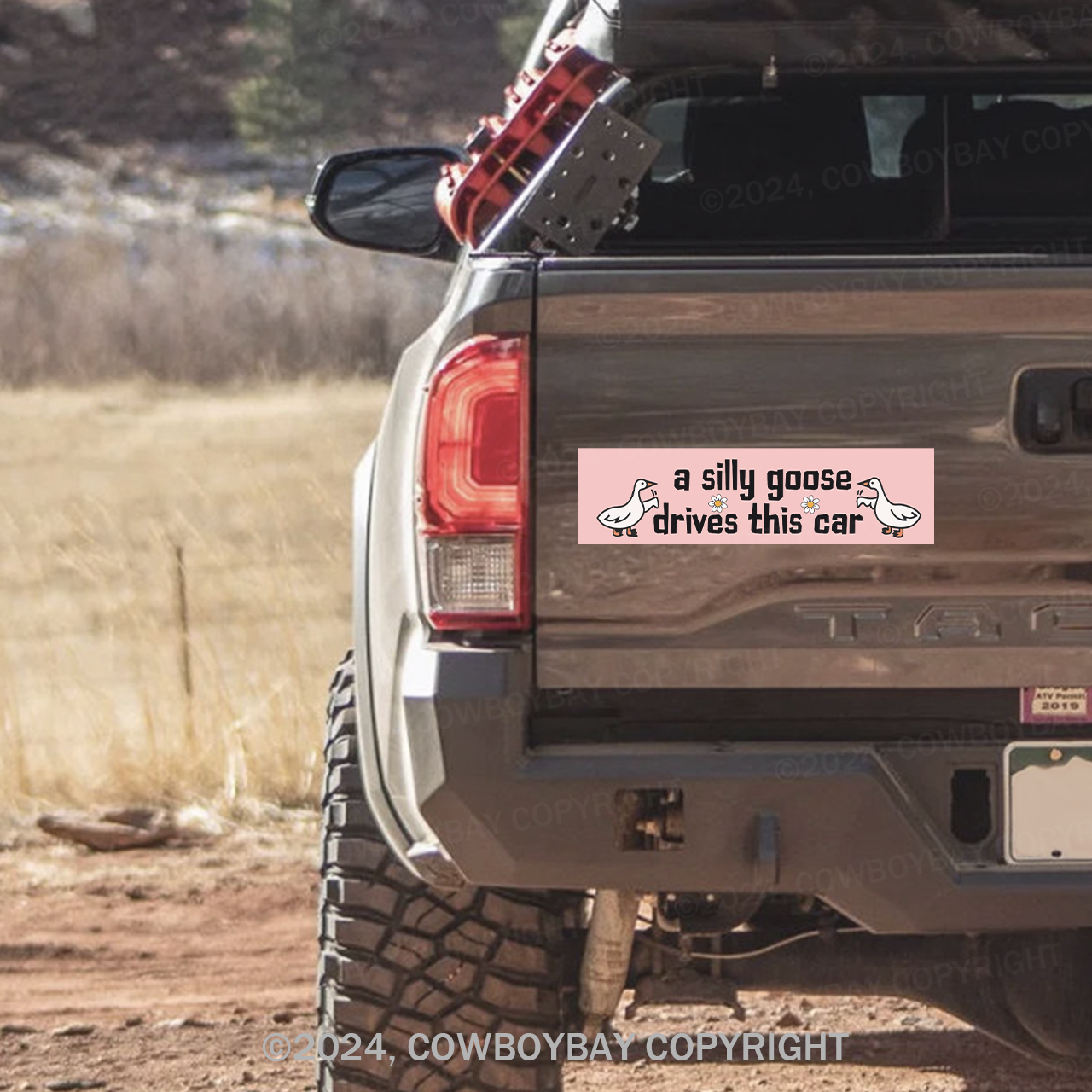 A Silly Goose Drives This Car Bumper Magnet
