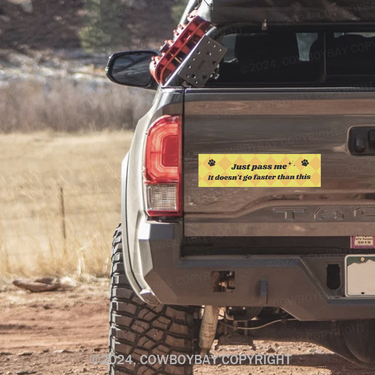 Just Pass Me, It Doesn't Go Faster Than This Bumper Magnet