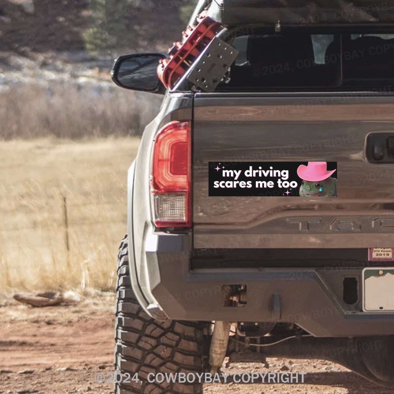 My Driving Scares Me Too Bumper Magnet