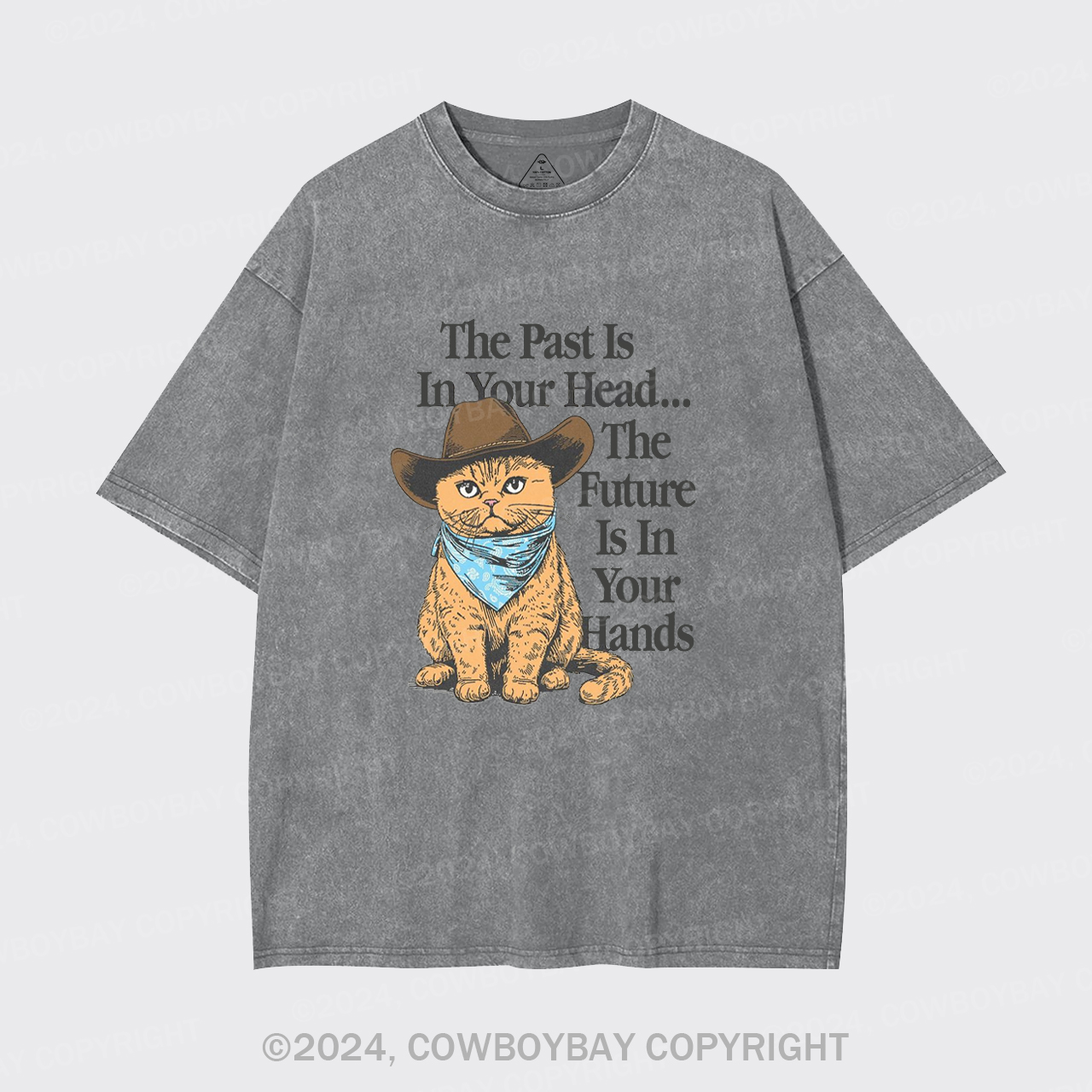 The Past Is In Your Head Garment-dye Tees