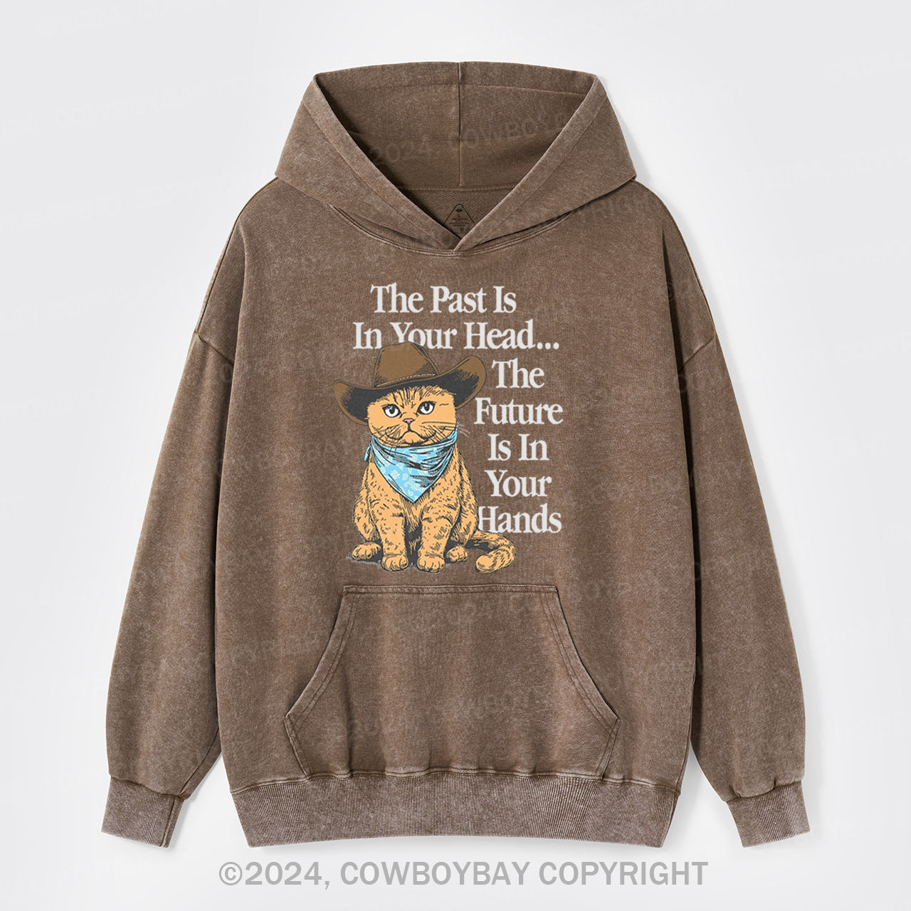 The Past Is In Your Head Garment-Dye Hoodies