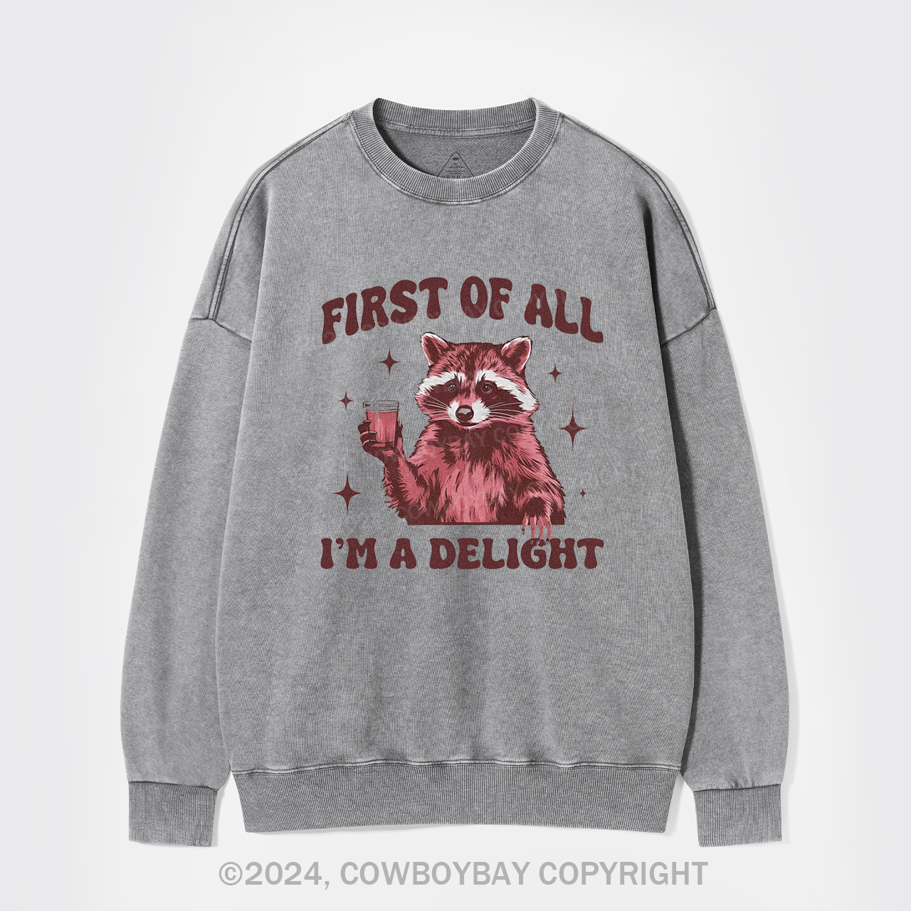 First Of All,I'm A Delight Washed Sweatshirts