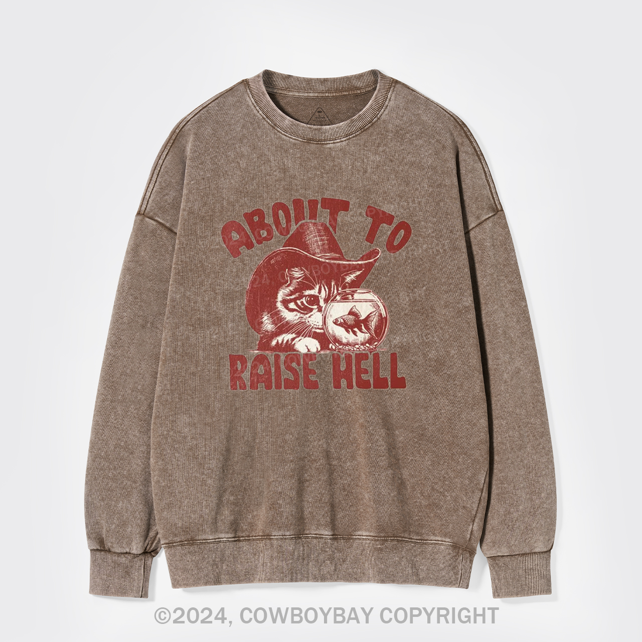 About To Raise Hell Washed Sweatshirts