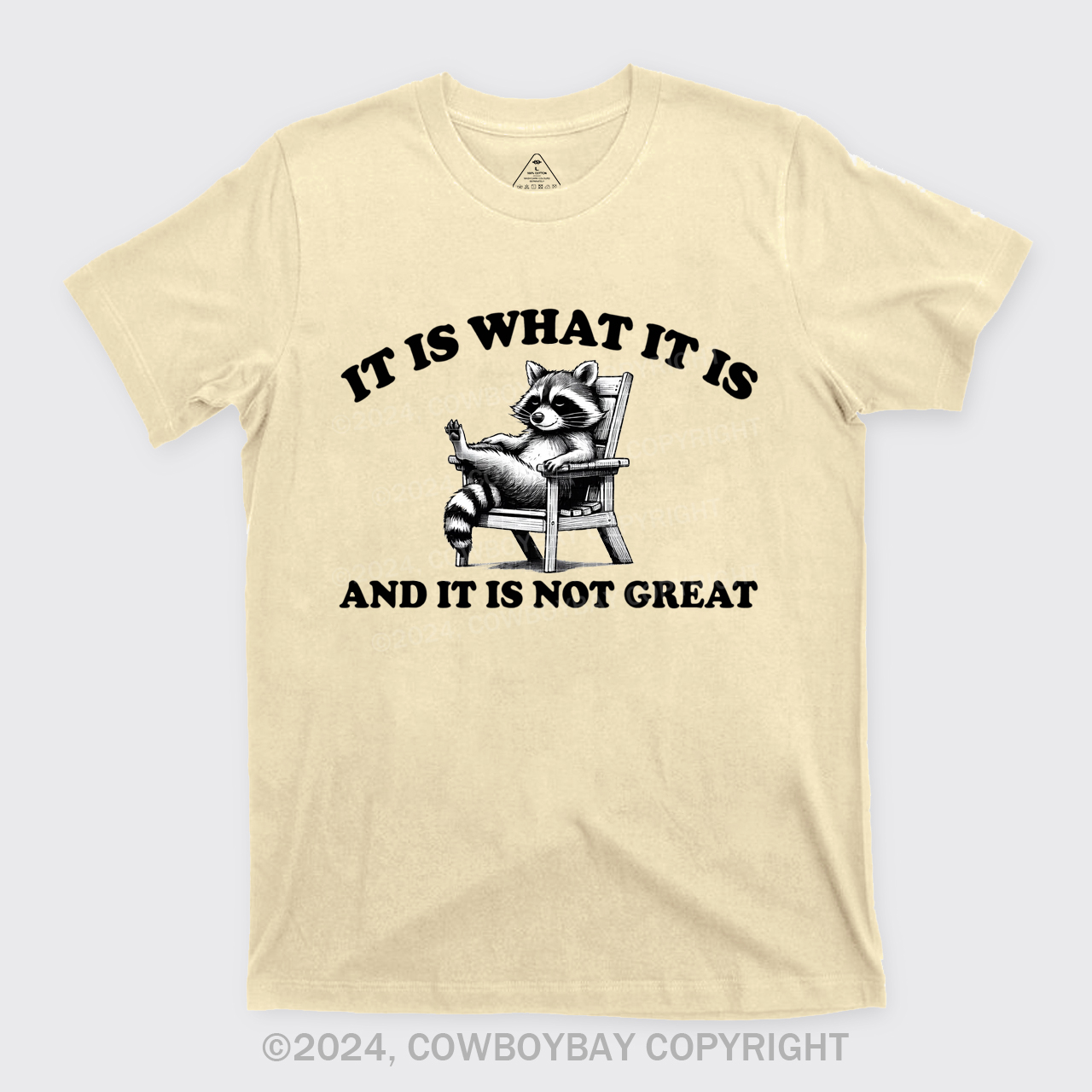 It Is What It Is And It Is Not Great T-Shirts