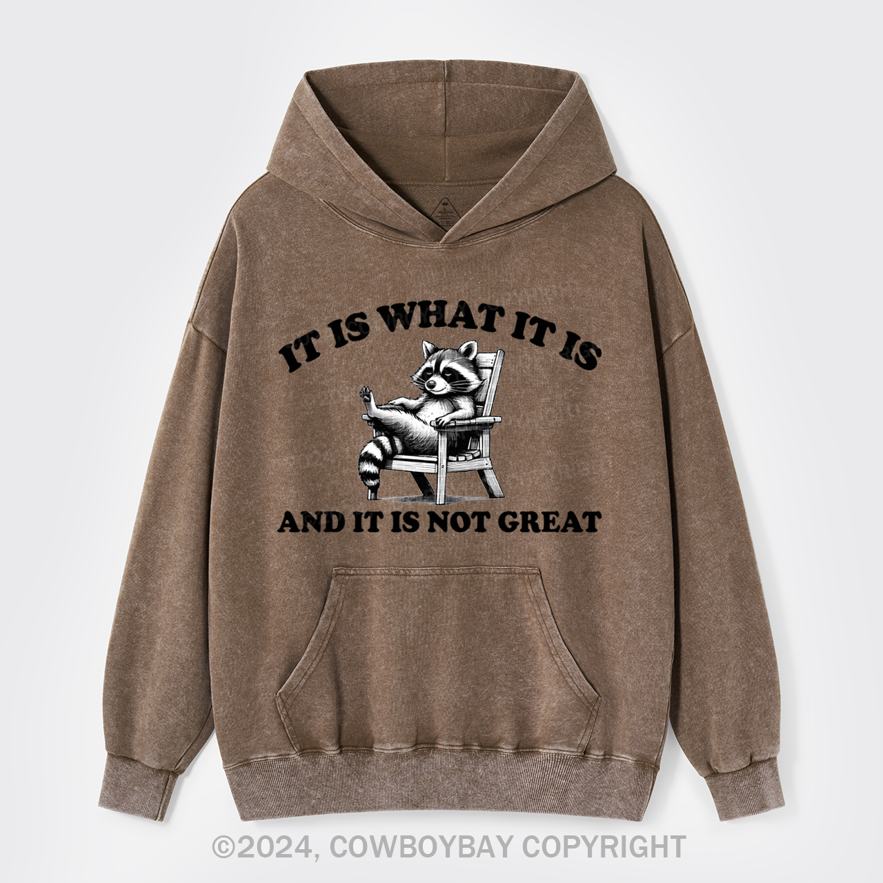 It Is What It Is And It Is Not Great Garment-Dye Hoodies