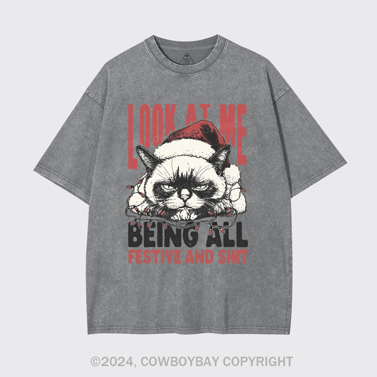 Funny Christmas Cat Garment-dye Tees