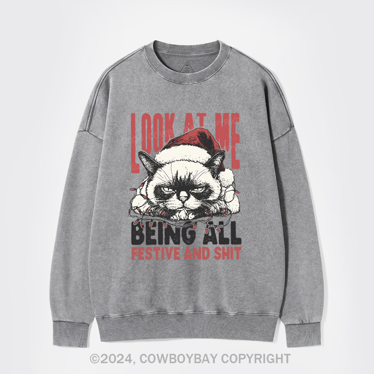 Funny Christmas Cat Washed Sweatshirts