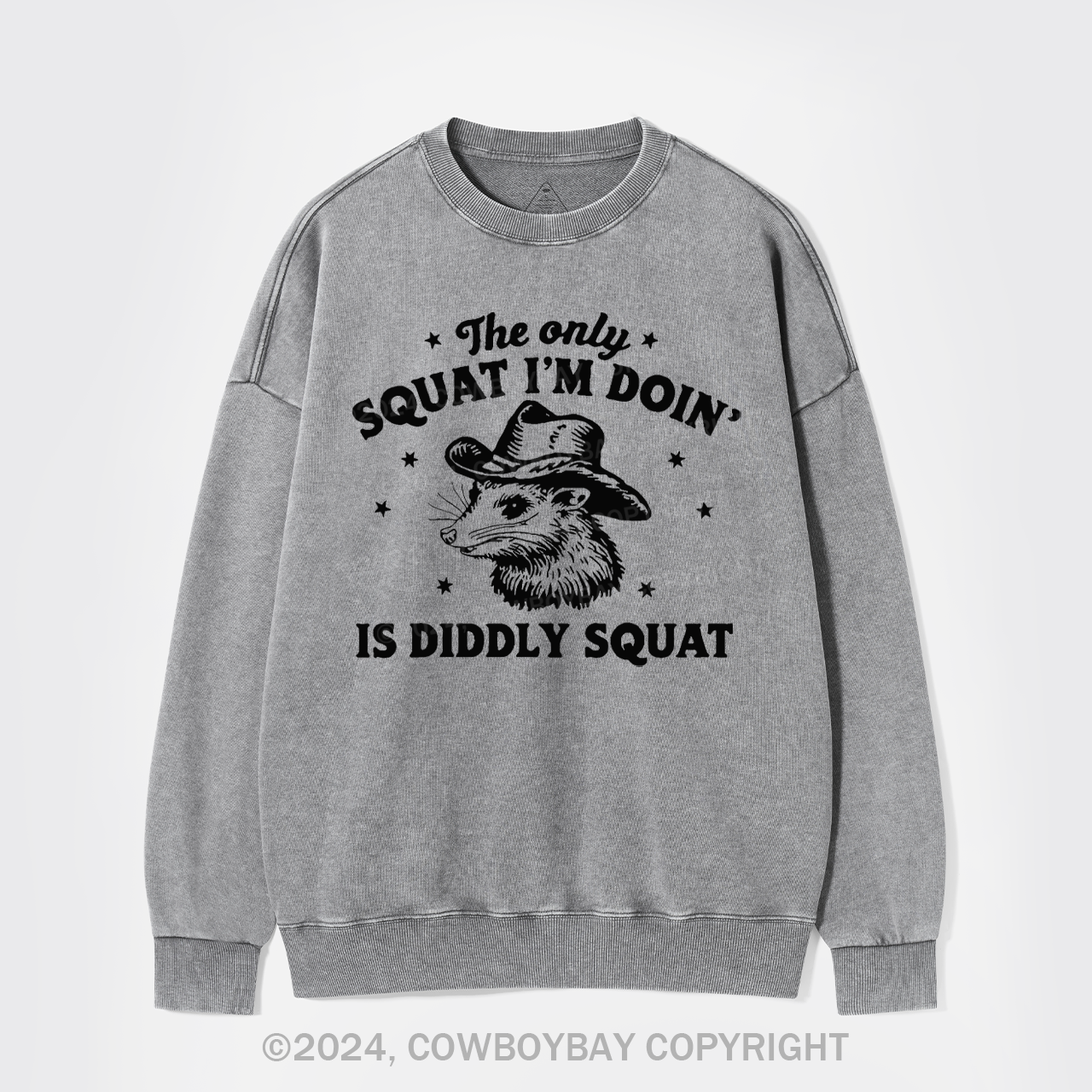 The Only Squat I'm Doing Is Diddly Squat Washed Sweatshirts