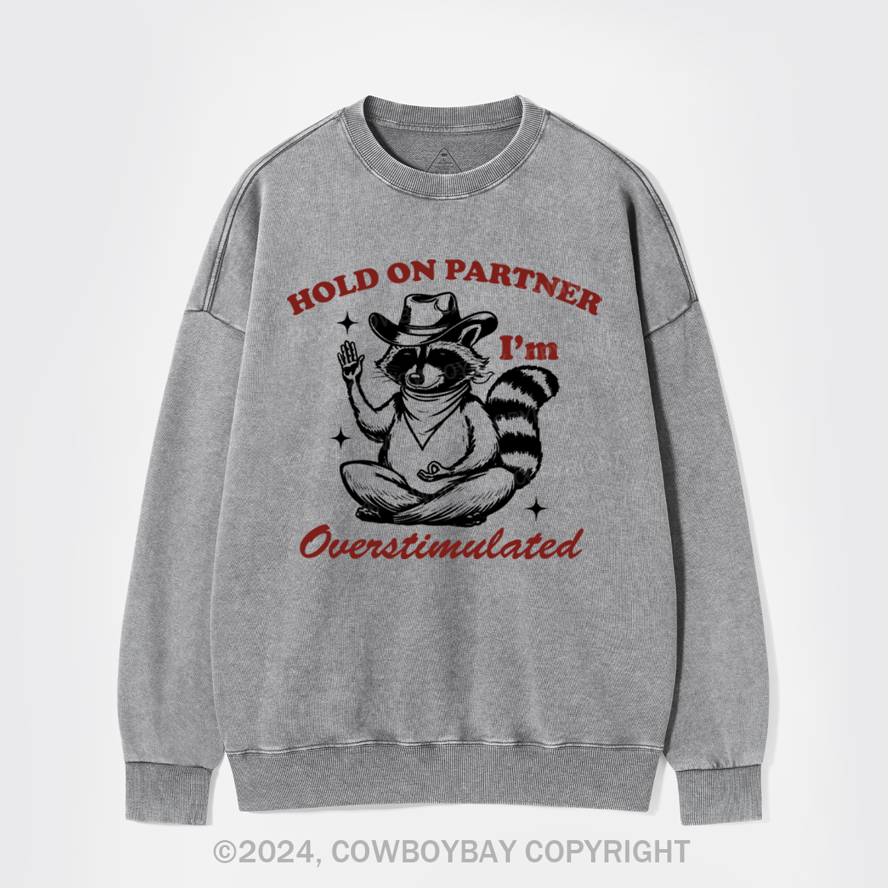 Hold On Partner I'm Overstimulated Washed Sweatshirts