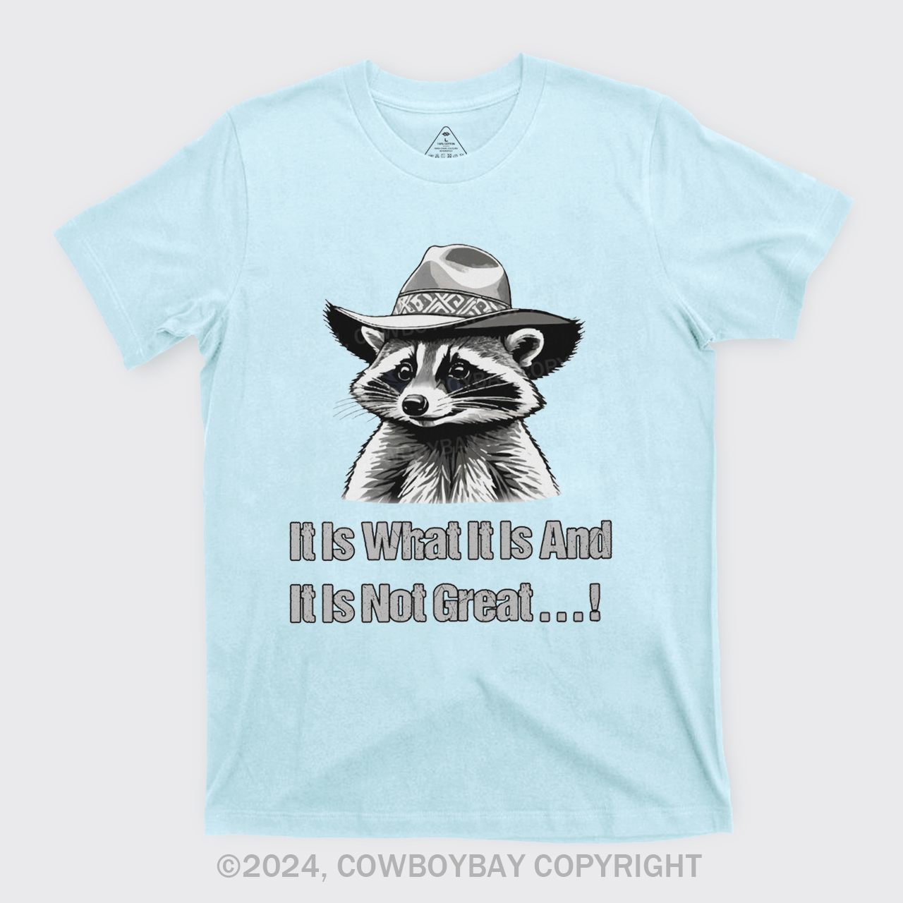 It Is What It Is And It Is Not Great T-Shirts