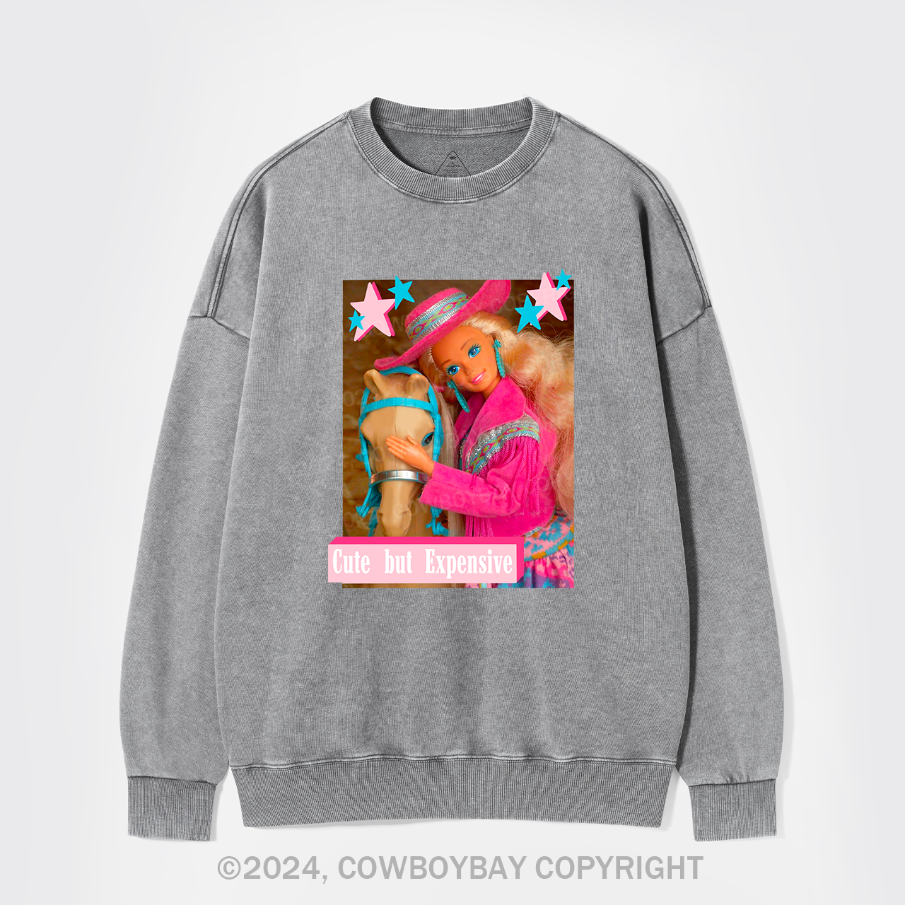 Cute But Expensive Retro Cowboy Washed Sweatshirts