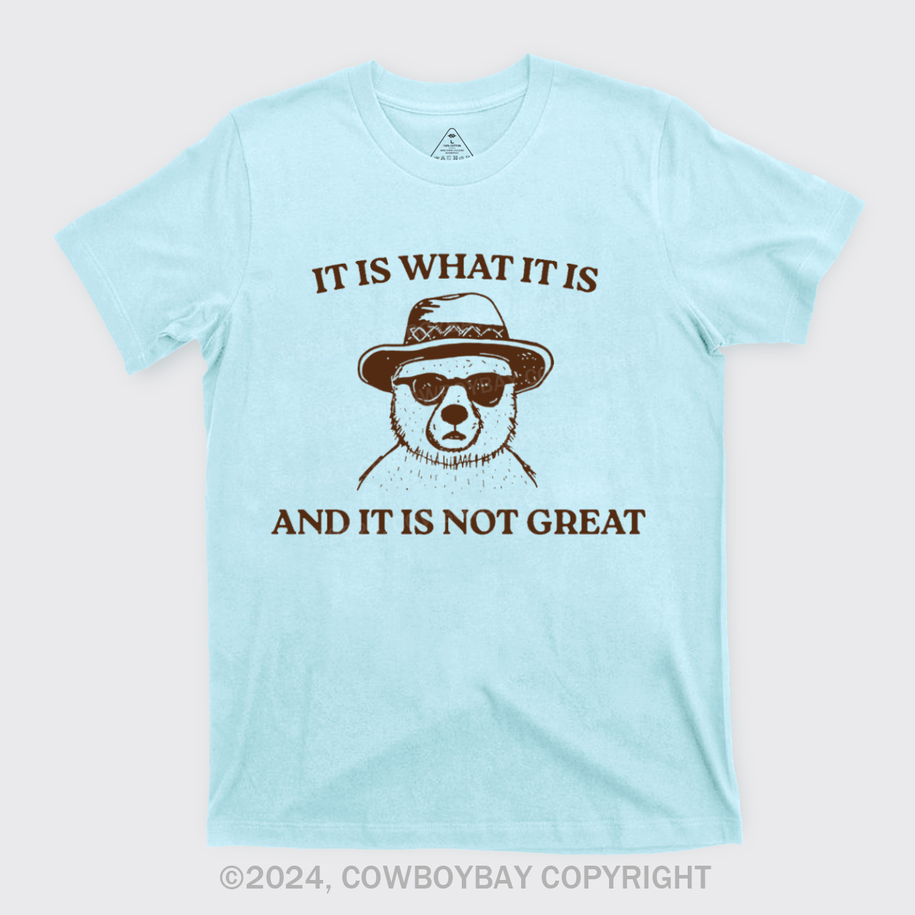 It Is What It Is And It Is Not Great T-Shirts