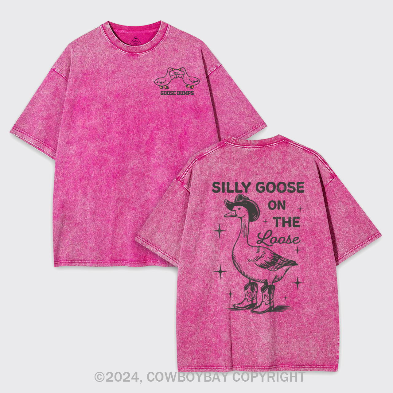 Good NWT 5/6T Silly Goose Rags Tee