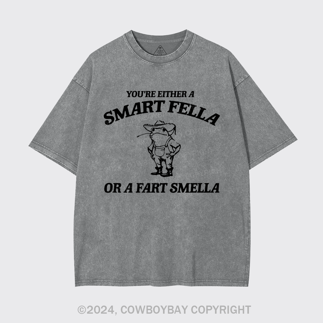 Are You A Smart Fella Or Fart Smella Garment-dye Tees