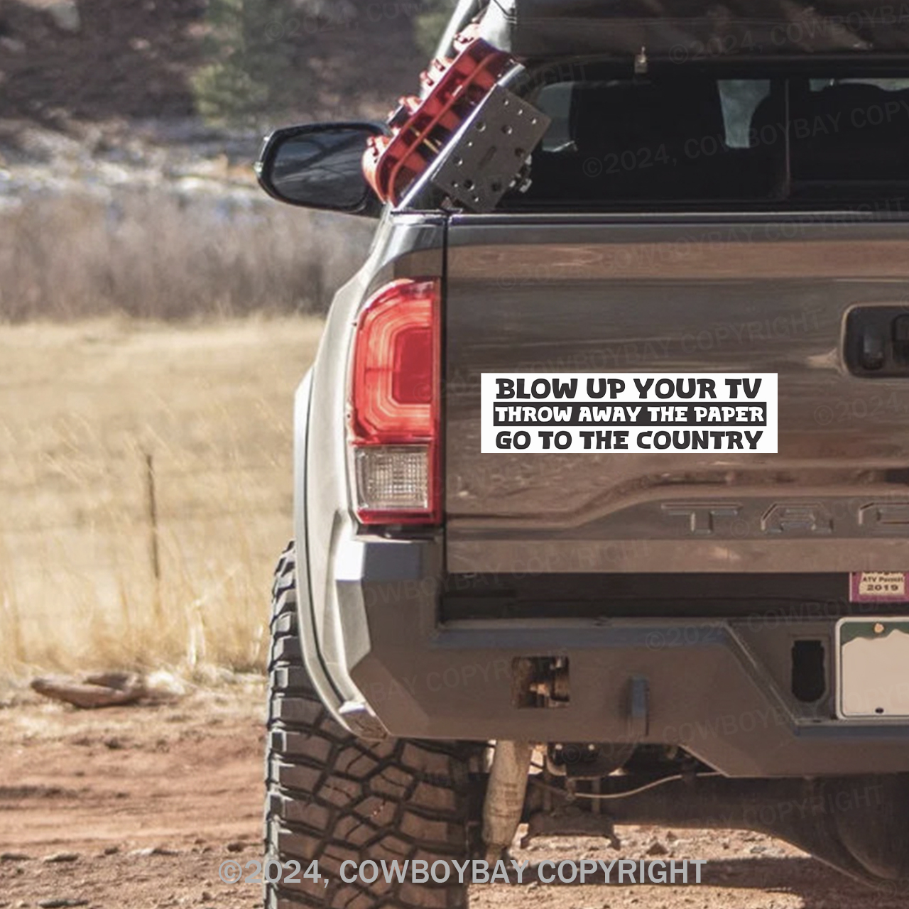 Blow Up Your TV Bumper Magnet