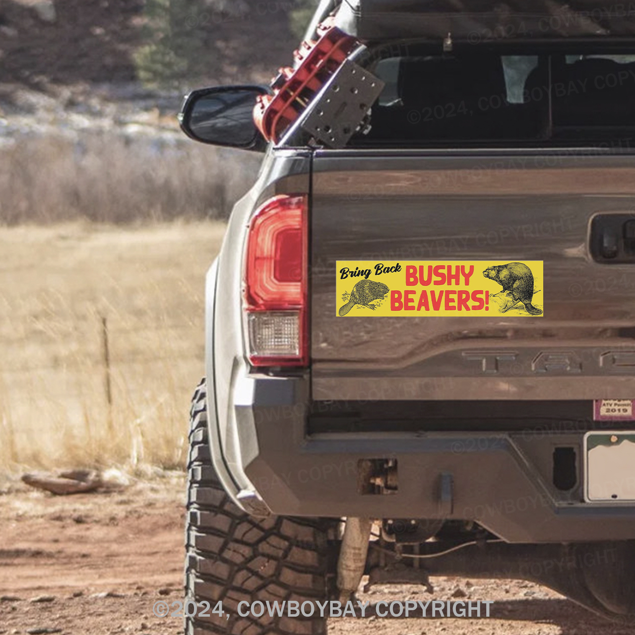 Bring Back Bushy Beavers Bumper Magnet