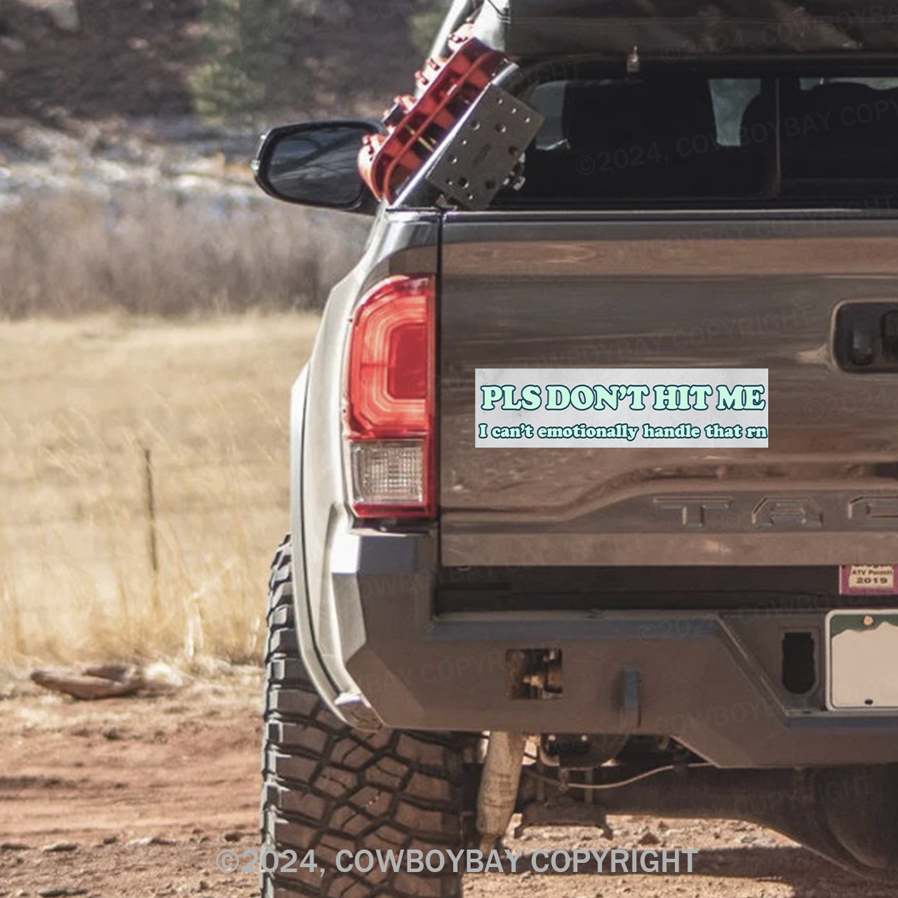 Pls Don't Hit Me Bumper Magnet