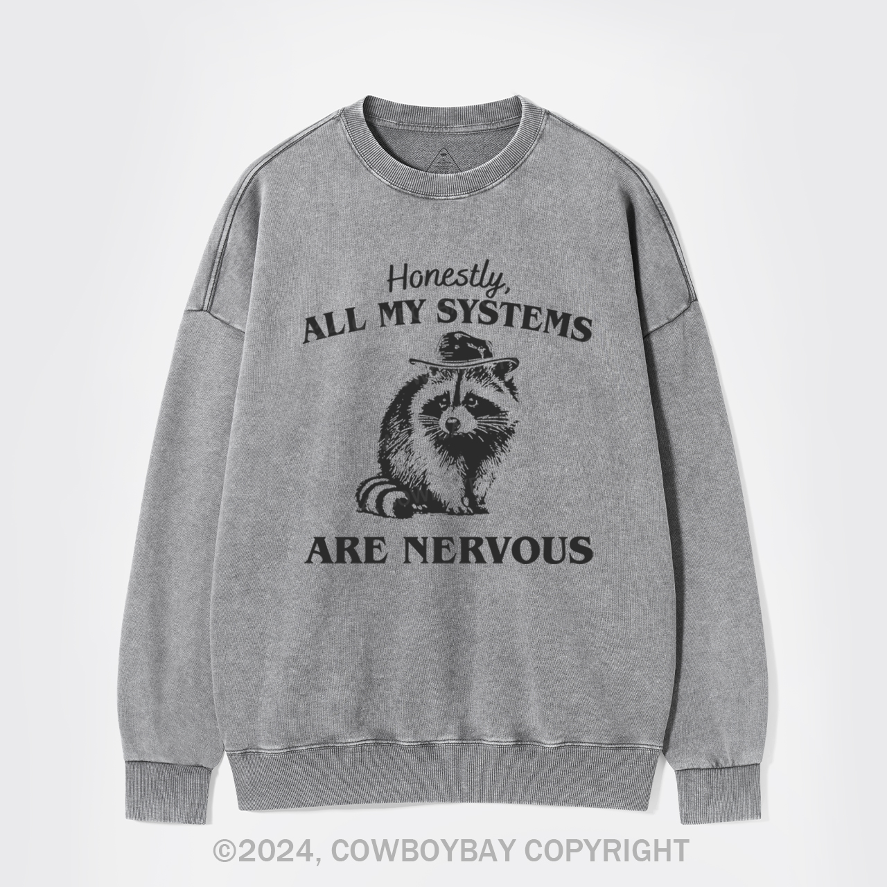 Actually All My Systems Are Nervous Washed Sweatshirts