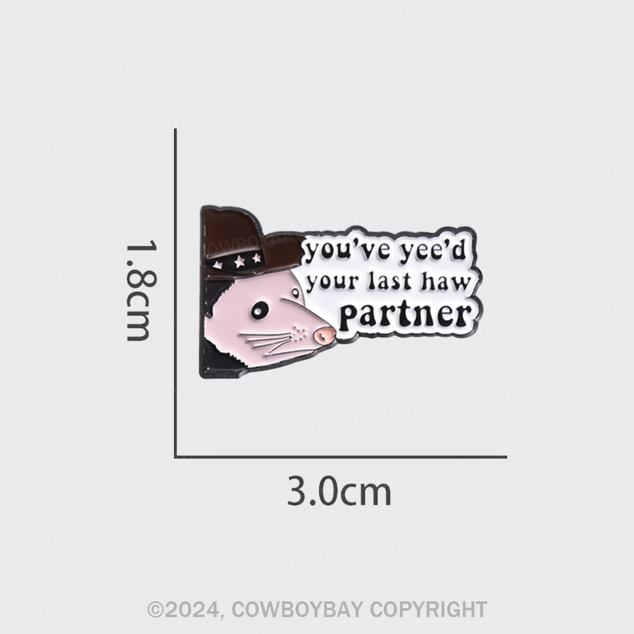 You've Yee'd Your Last Haw Partner_Cowboybay Pin