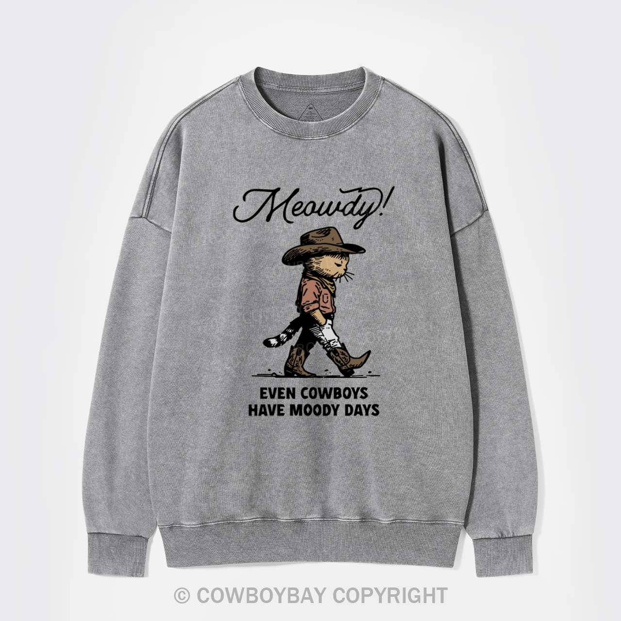 Sad Cat Cowboy Washed Sweatshirts