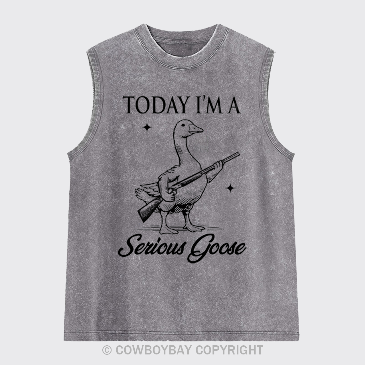 Today I'm Serious Goose Washed Tanks