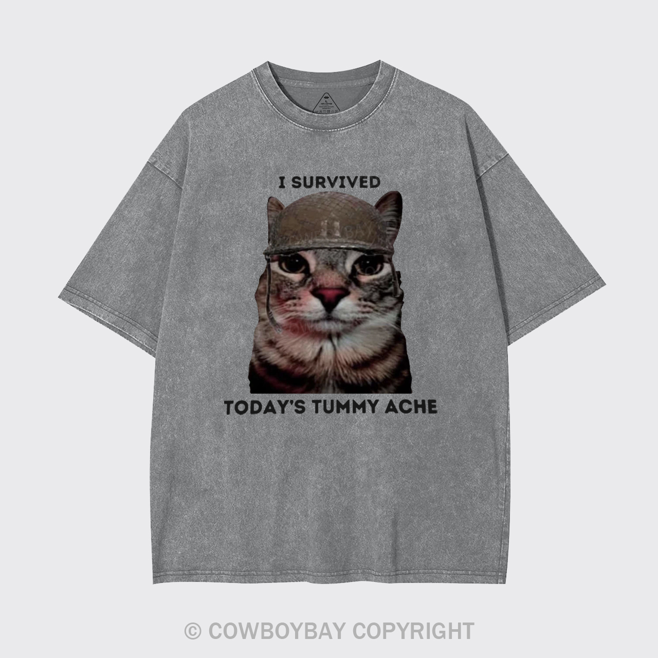 I Surived Today's Tummy Ache Garment-dye Tees