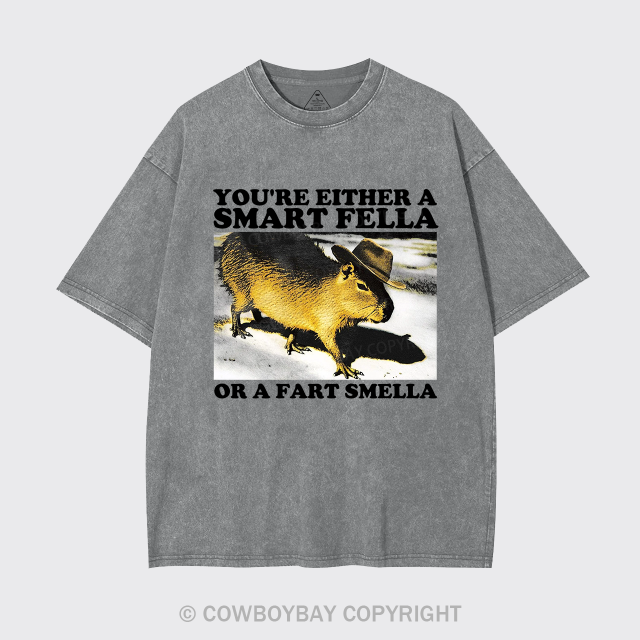 Retro Smart Fella Fart Smella Capybara 90s Garment-dye Tees