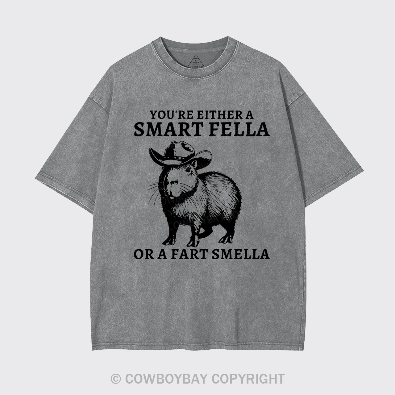 Retro Smart Fella Capybara 90s Garment-dye Tees