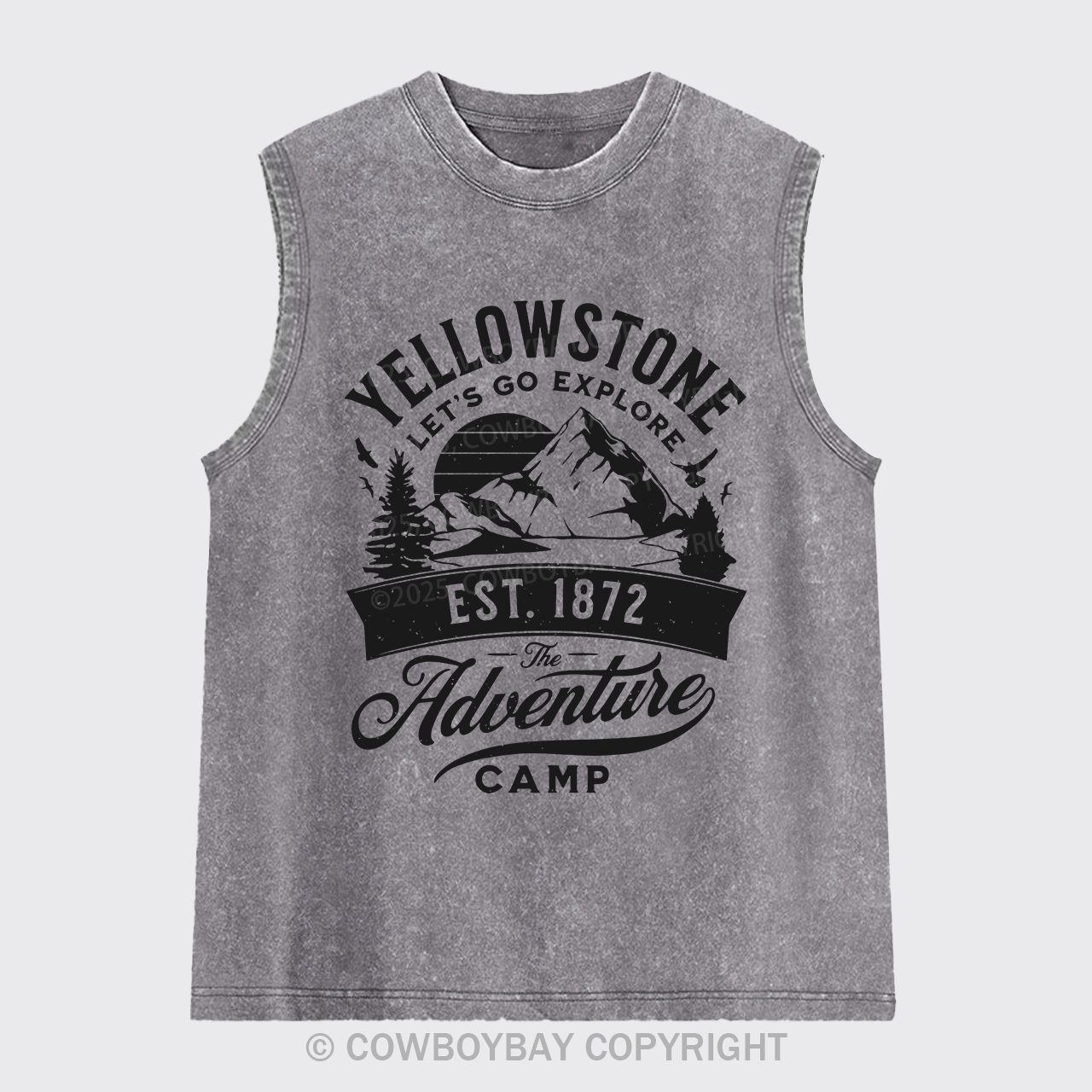 Yellowstone Let's Explore Washed Tanks