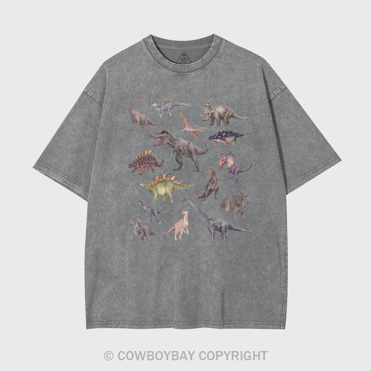 Dinosaur Garment-dye Tees