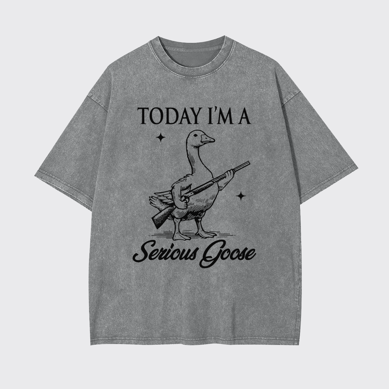 Today I'm Serious Goose Garment-dye Tees