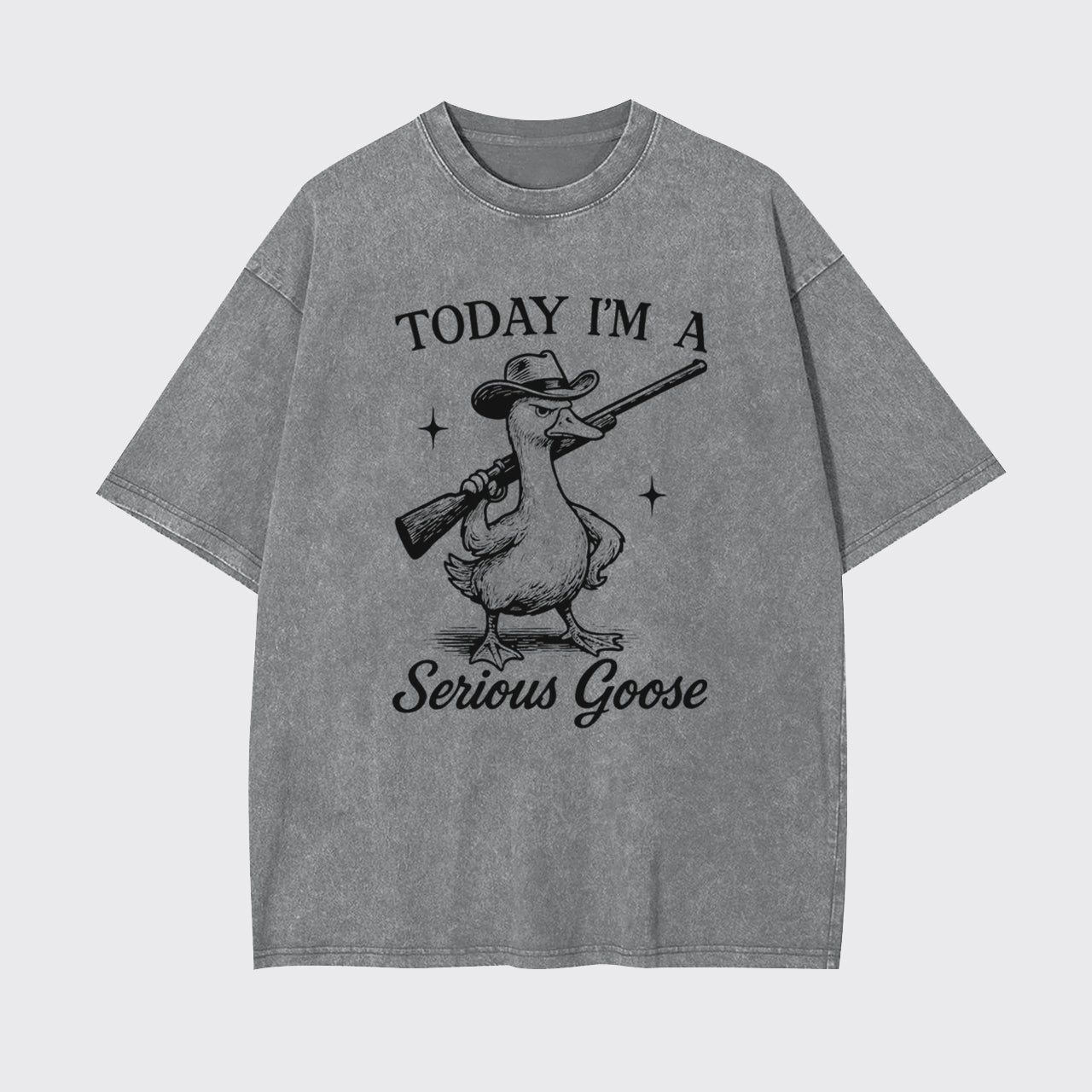 Retro Silly Goose-Today I'm A Serious Goose Garment-dye Tees