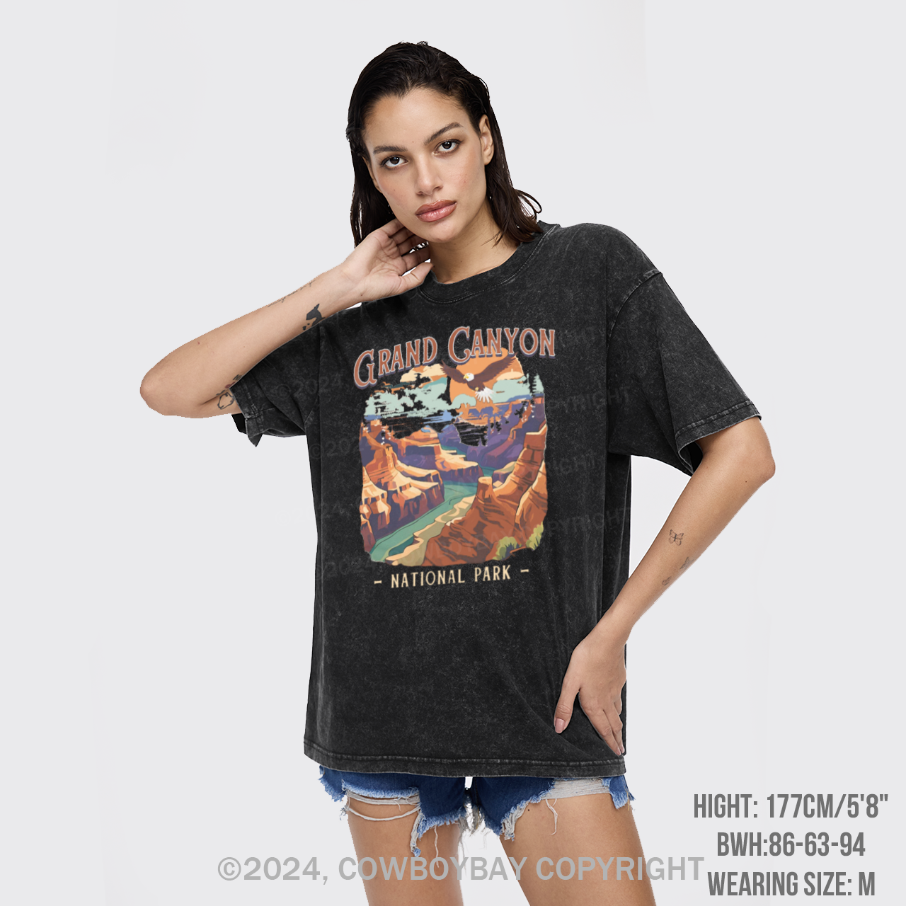 Vintage Grand Canyon National Park Garment-dye Tees