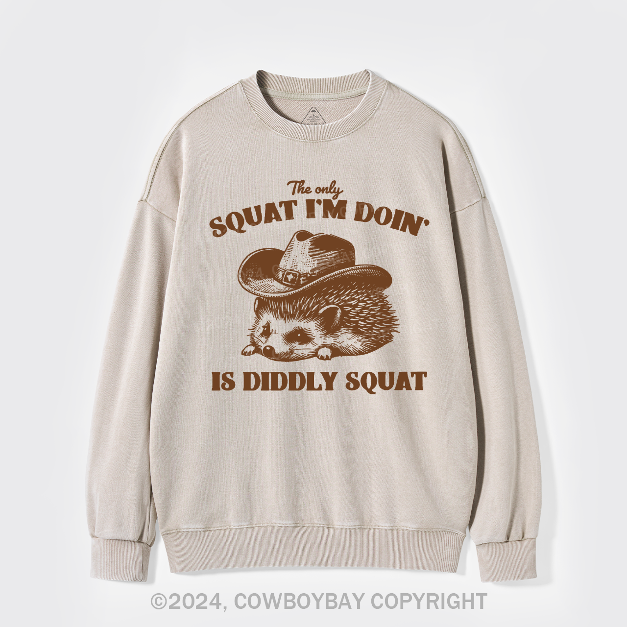The Only Squat I'm Doing Is Diddly Squat Washed Sweatshirts