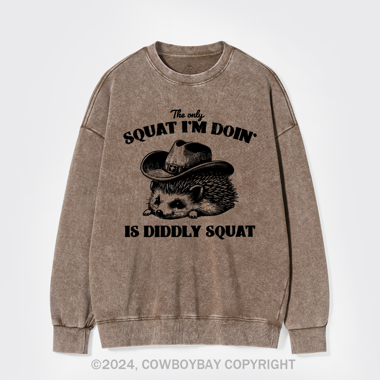 The Only Squat I'm Doing Is Diddly Squat Washed Sweatshirts