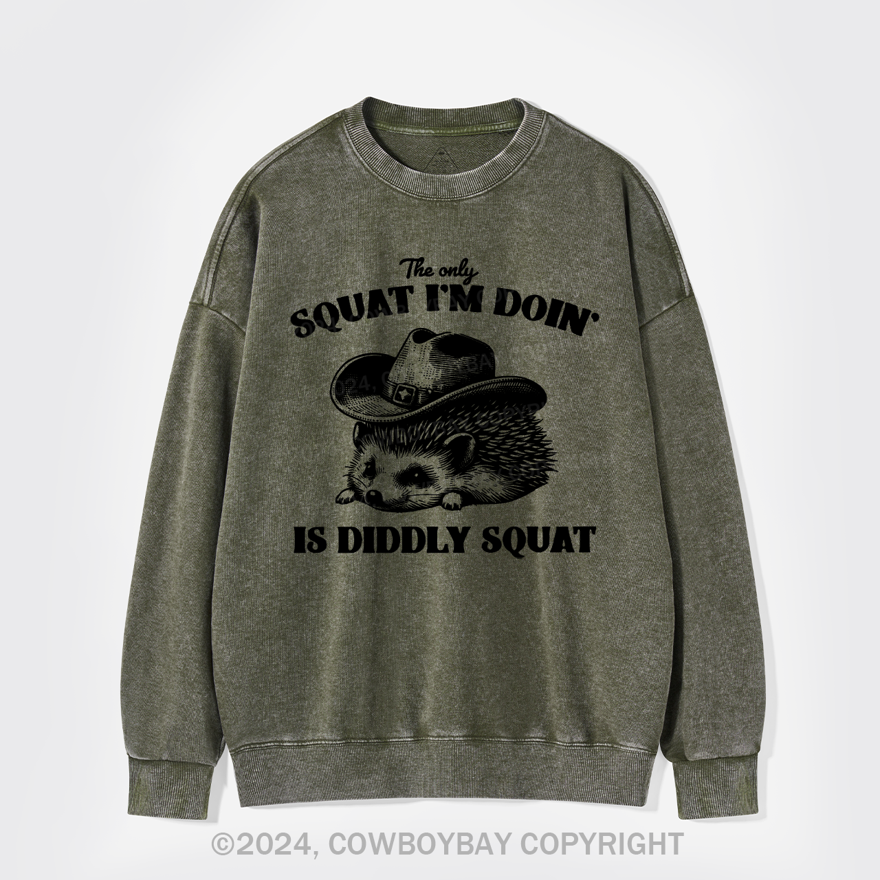 The Only Squat I'm Doing Is Diddly Squat Washed Sweatshirts