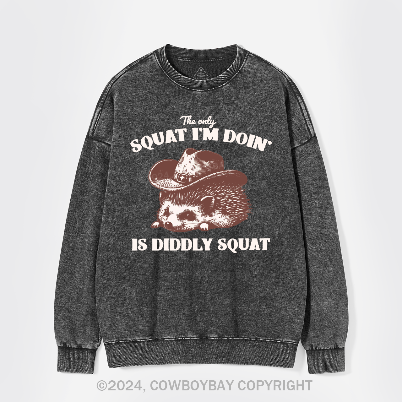 The Only Squat I'm Doing Is Diddly Squat Washed Sweatshirts