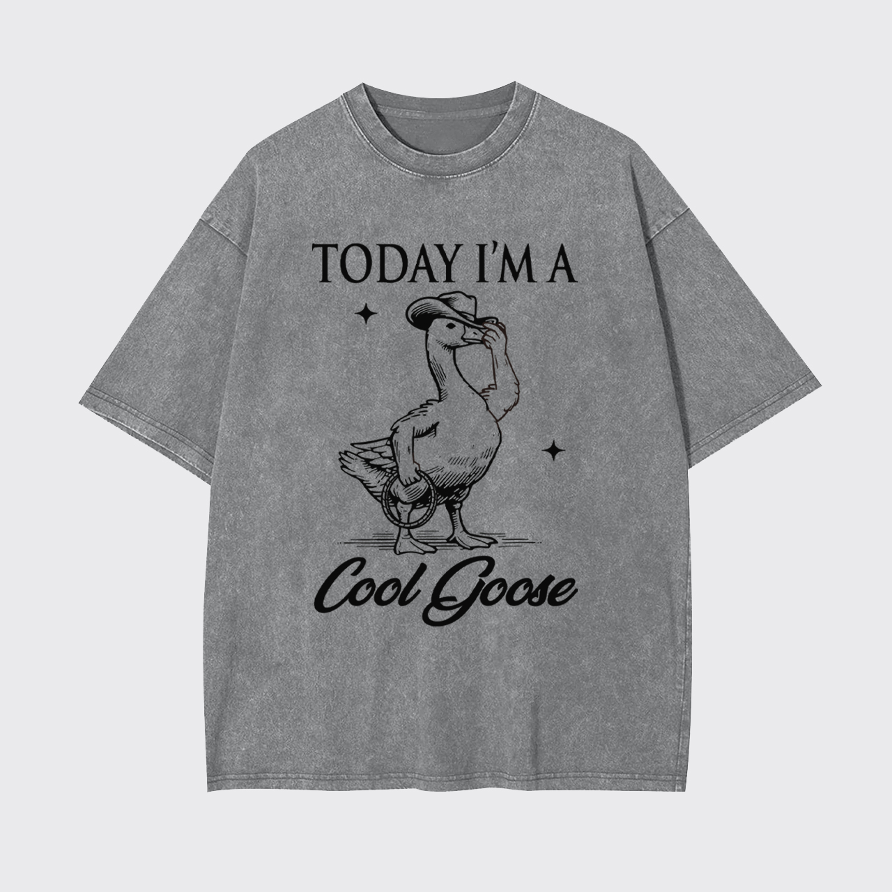 Today I'm A Cool Goose Garment-dye Tees