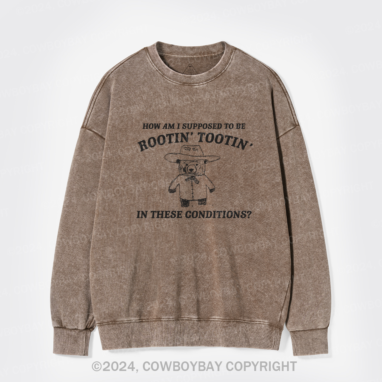 I Can't Root And Toot In These Conditions Washed Sweatshirts