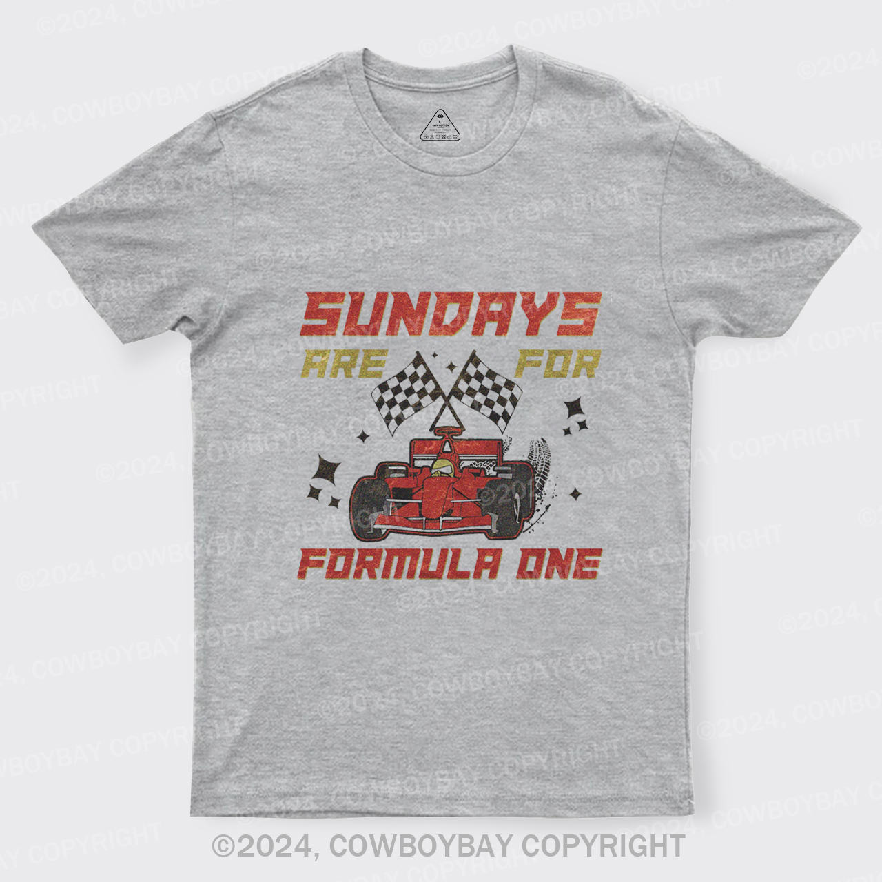 Sundays Are For F1 Racing T-Shirts