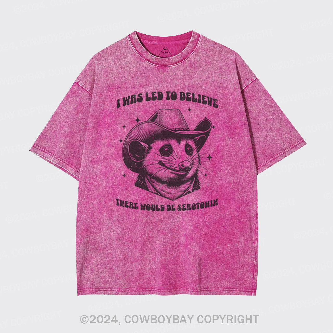 I Was Led To Believe Be Seratonin Garment-dye Tees