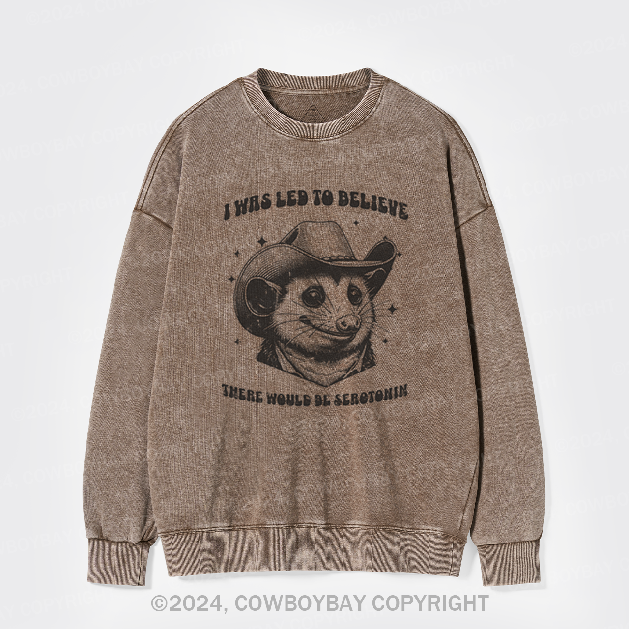 I Was Led To Believe Be Seratonin Washed Sweatshirts