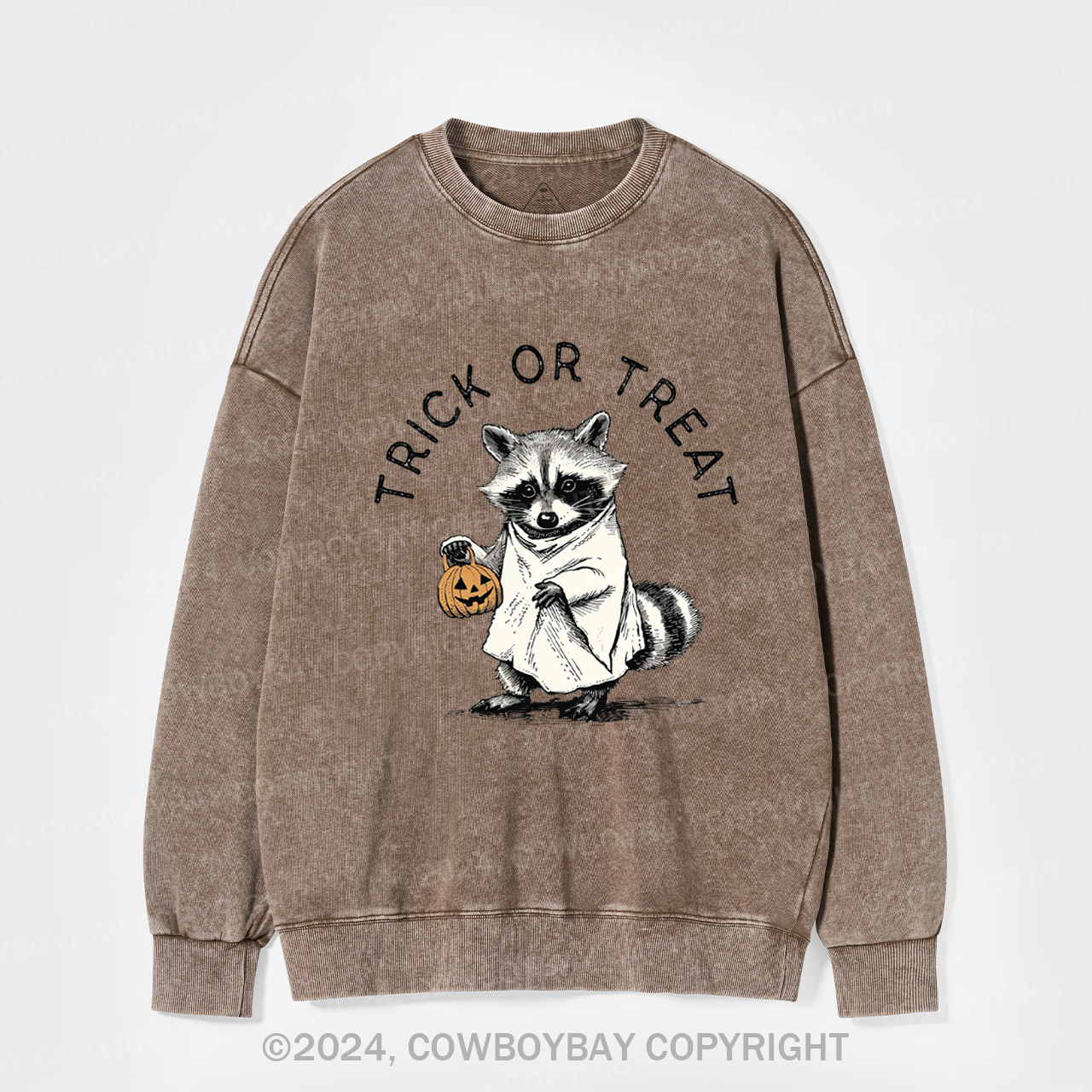 Trick Of Treat Washed Sweatshirts
