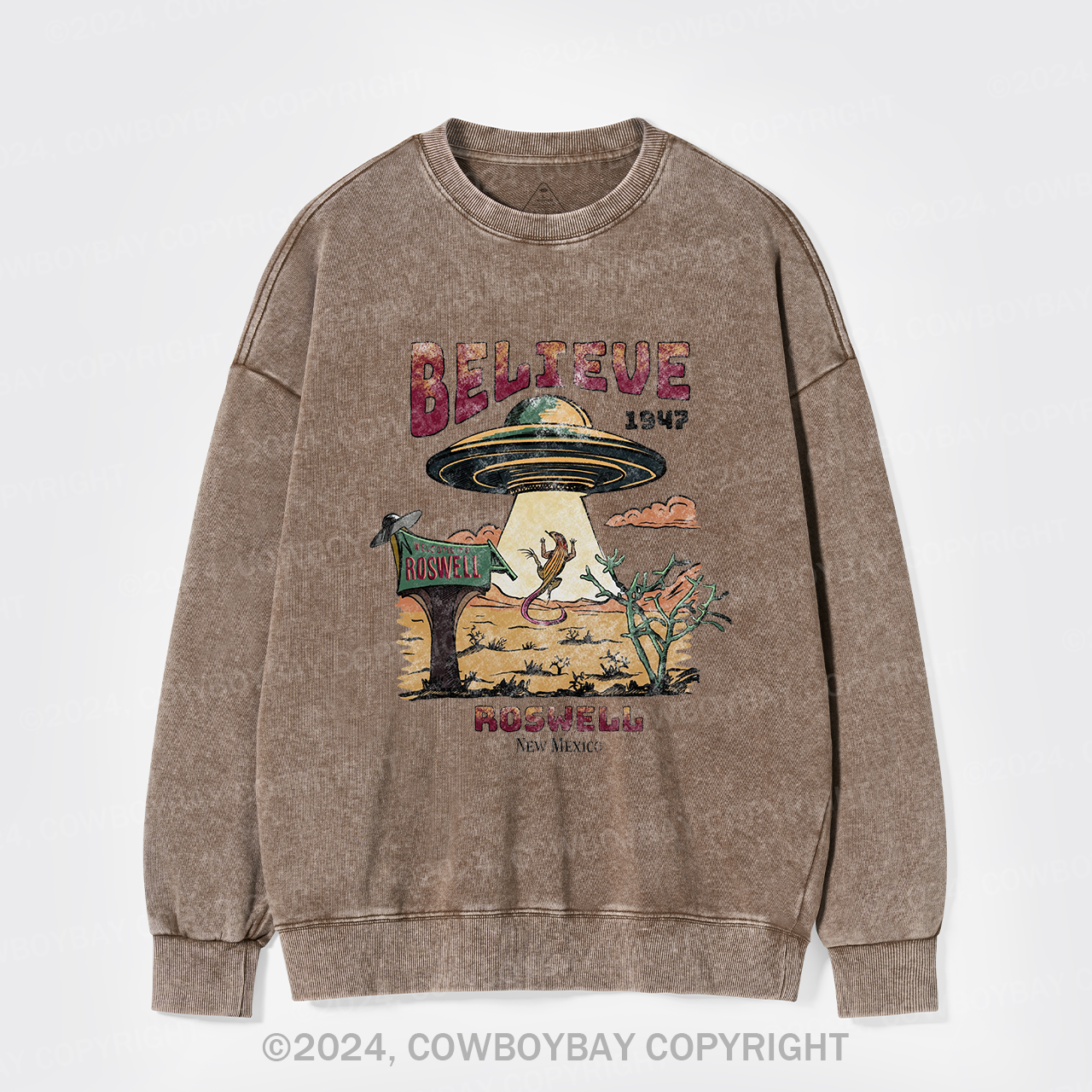 Believe Alien Washed Sweatshirts
