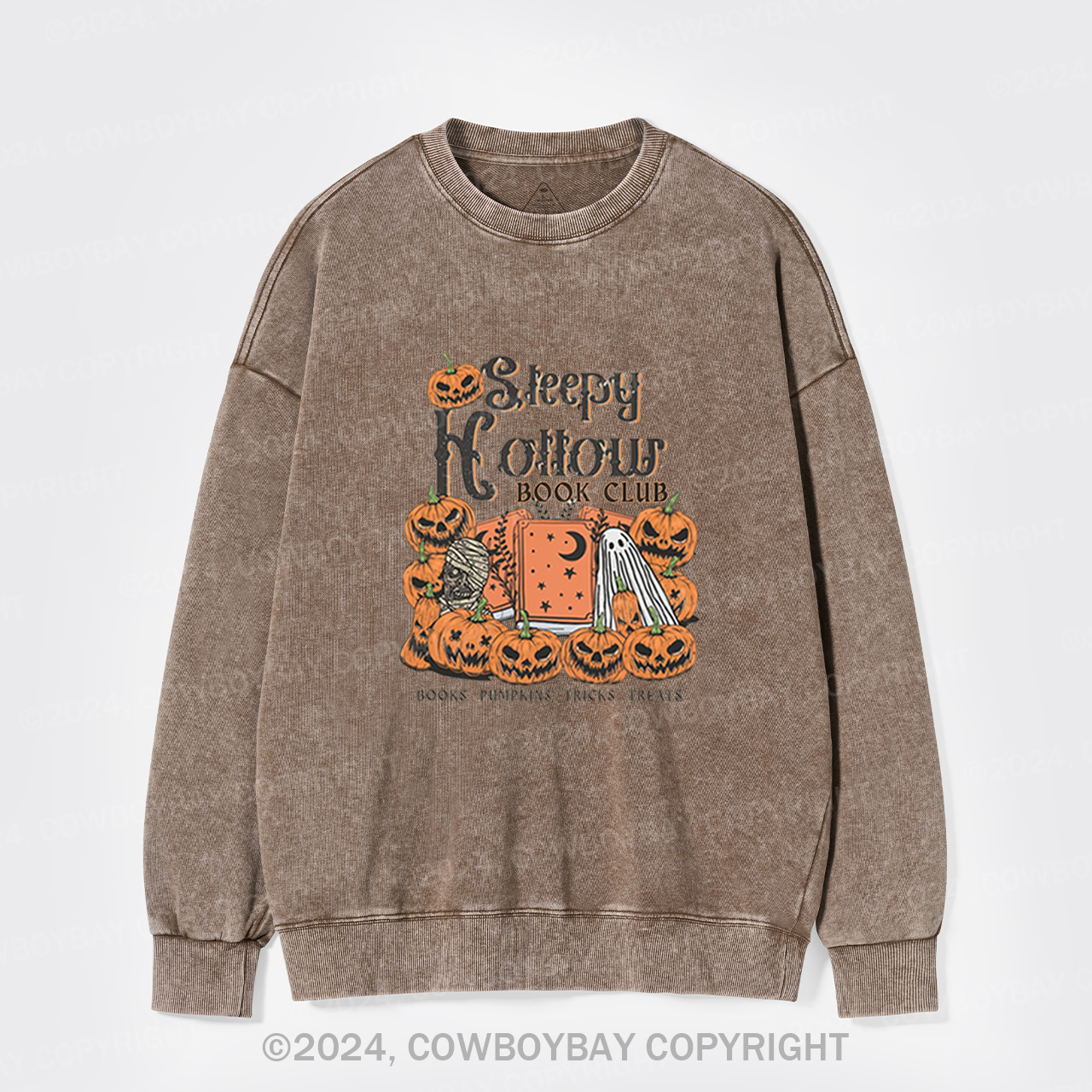 Sleepy Hollow Book Club Washed Sweatshirts