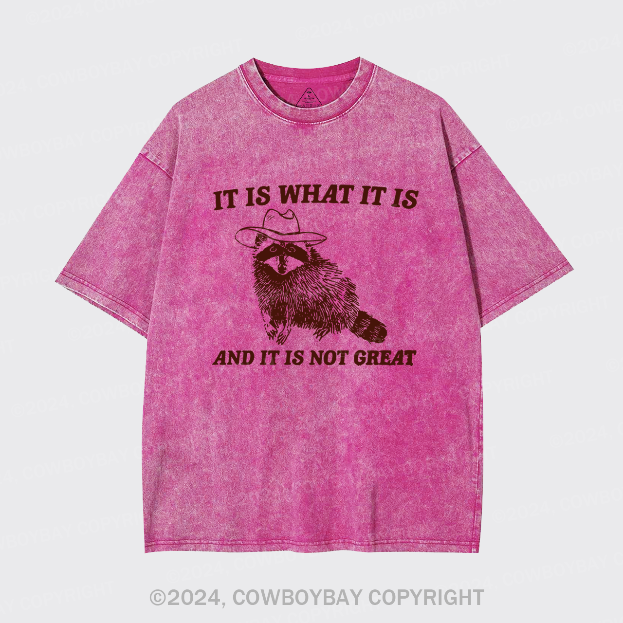 It Is What It Is And It Is Not Great Garment-dye Tees