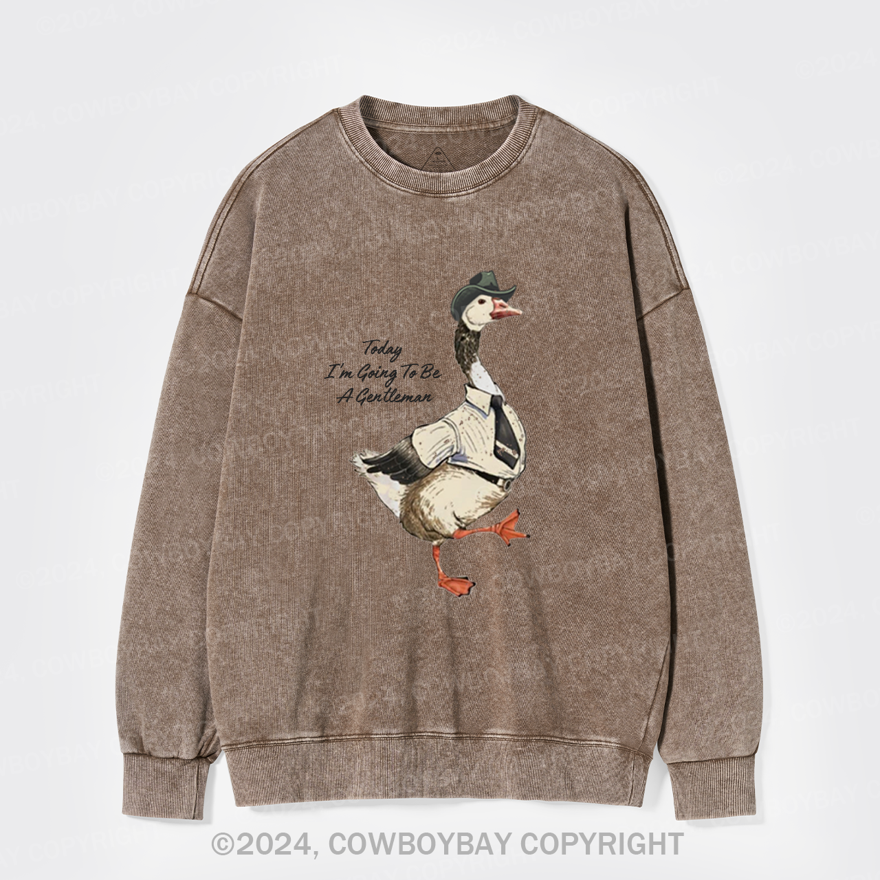 Today I'm Going To Be A Gentleman Washed Sweatshirts