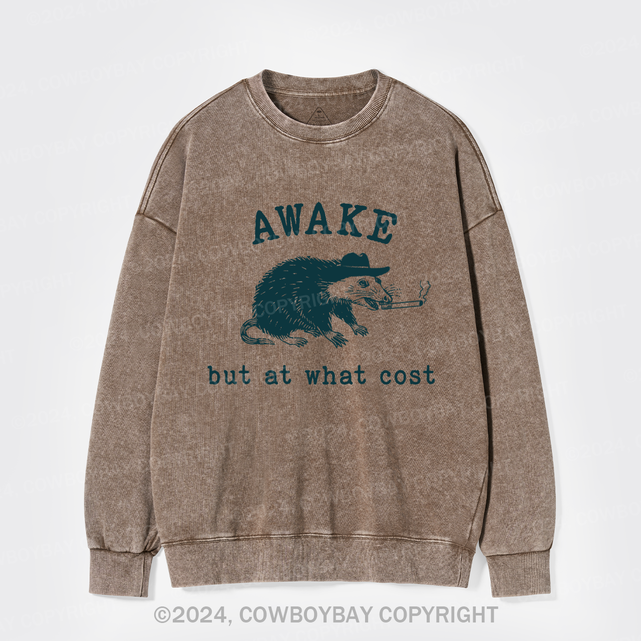 Awake But At What Cost Washed Sweatshirts