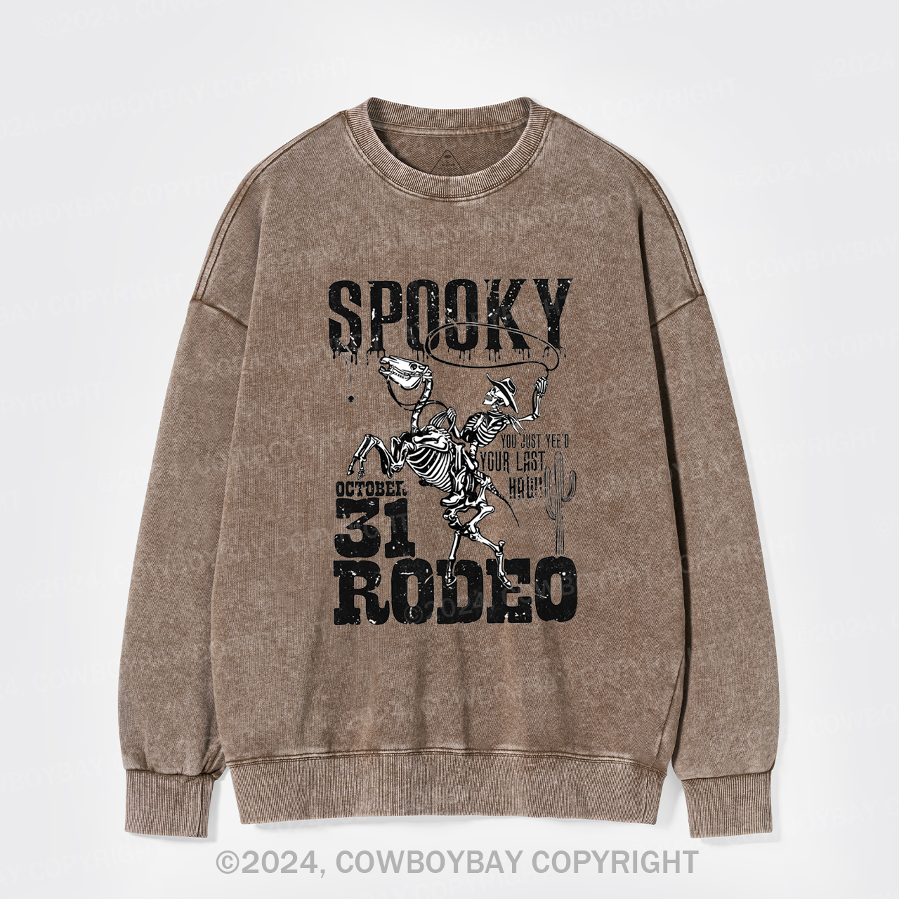 Retro Spooky Rodeo Washed Sweatshirts